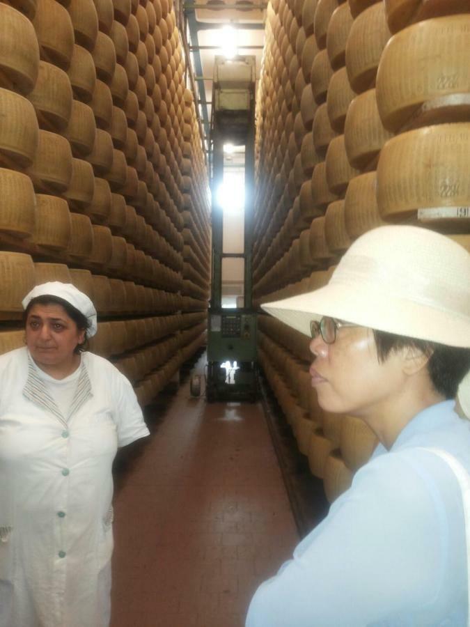 App.To Pian Del Ronco Apartment Pellegrino Parmense Bagian luar foto