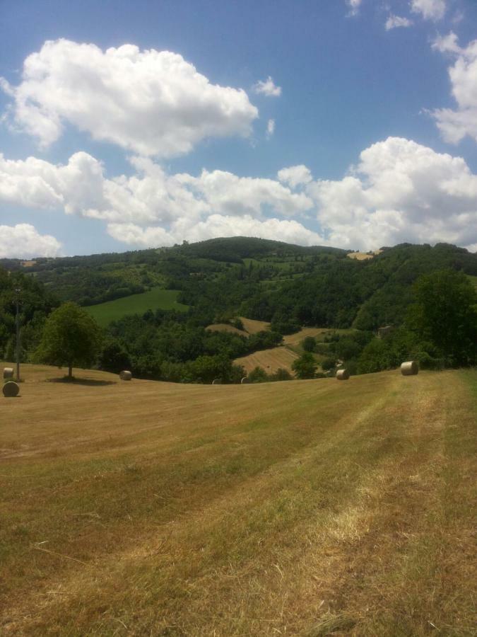 App.To Pian Del Ronco Apartment Pellegrino Parmense Bagian luar foto